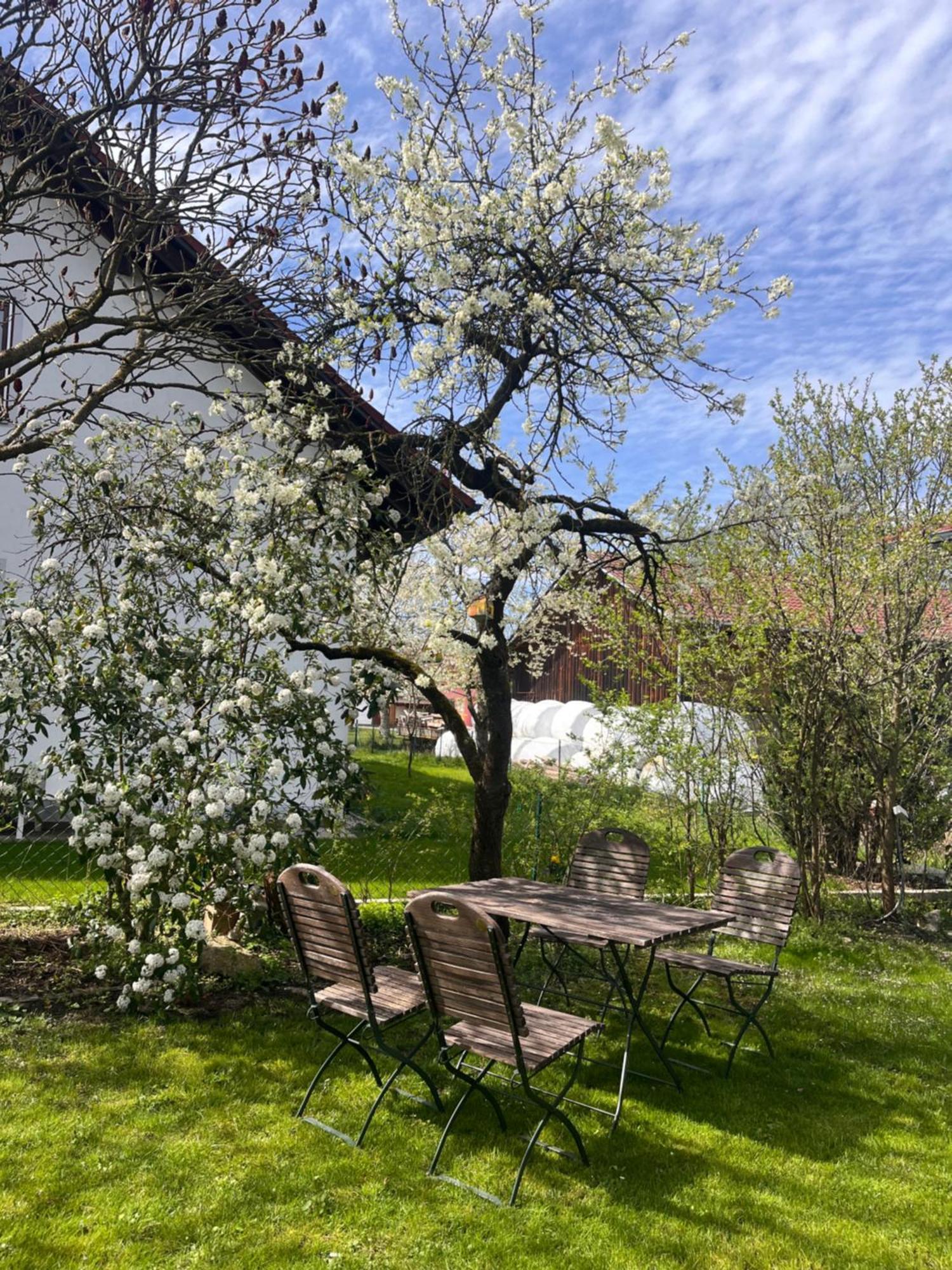 Zimmer Zum Wohlfuehlen Eching  Buitenkant foto